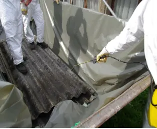 Asbestos remediation service